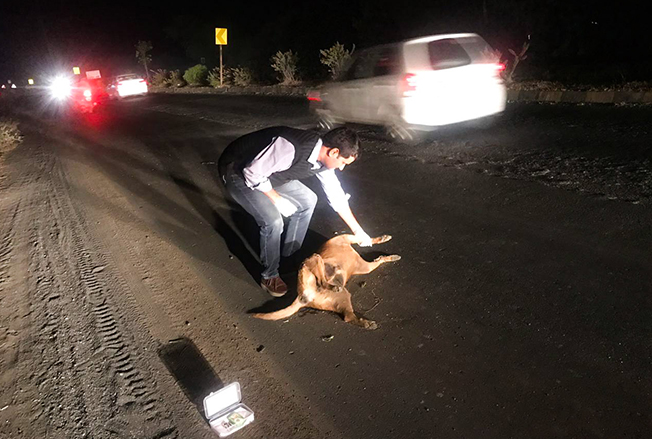 Kit Used By Mr. Swapnil Parkhya