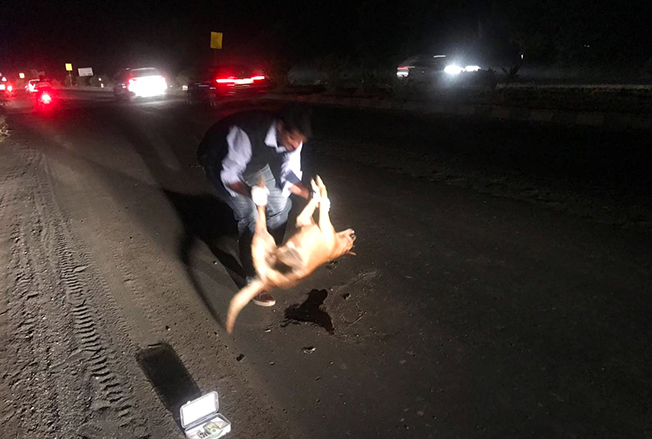 Kit Used By Mr. Swapnil Parkhya